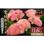 牛肉 ステーキ 3か月隔月 牛肉ステーキ定期便