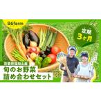 ふるさと納税 セット・詰合せ 京都府 福知山市 京都府福知山産 旬のお野菜詰め合わせセット(定期便3カ月) ふるさと納税 定期便 旬の野菜 新鮮 お楽しみ 詰…