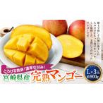 ショッピングふるさと納税 マンゴー ふるさと納税 マンゴー 宮崎県 高鍋町  宮崎県産完熟マンゴー L×3玉（約900g） 2026年4月中旬〜7月下旬までに順次出荷