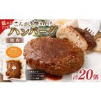ふるさと納税 肉 ハンバーグ 大分県 竹田市 温めるだけ こんがり焼き上げ 焼肉ソース ハンバーグ 20個セット