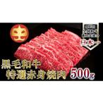 ふるさと納税 牛肉 焼肉・バーベキュー 鹿児島県 喜界町 うしの中山 赤身 焼肉 用500g