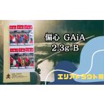 フィッシング ルアー フライ 偏心GAiA 2.3g