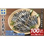 干物 イワシ丸干し3点セット 合計100尾以上
