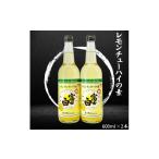 お酒 リキュール レモンチュウハイの素 600ml×2本セット