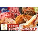 豚肉 セット 6回定期便 もろみ豚 バラエティ定期便