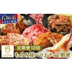 豚肉 セット 12回定期便 もろみ豚 バラエティ定期便
