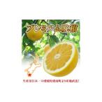 ふるさと納税 みかん