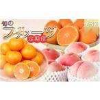 果物類 みかん 全3回 旬のフルーツ定期便
