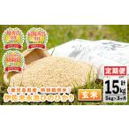 ふるさと納税 玄米 鹿児島県 伊佐市 isa537 定期便 令和7年産 特別栽培米 永池ひのひかり玄米(計15kg・5kg×3ヶ月) 鹿児島 永池 お米 米 玄米 伊佐米 九州米サ…