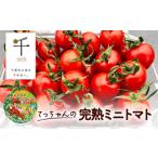 fu.... налог овощи вид помидор префектура Chiba город Chiba .. Chan. .. мини помидоры 2kg.. длина сельское хозяйство . прямая поставка No.5346-0523