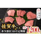 牛肉 焼肉 バーベキュー 希少部位を厳選 佐賀牛定期便
