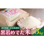 ふるさと納税 米 ひと