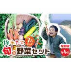 セット 詰合せ 年4回 定期便 金賞受賞 旬彩野菜セット