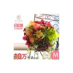 苗木 C052 宿根草 ヒューケラ 花うるる