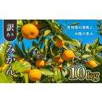 ふるさと納税 果物類 みかん 熊本県 和水町 先行予約 ご家庭用 訳ありみかん 10kg | 熊本県 熊本 くまもと 和水町 なごみ 柑橘 柑橘類 みかん 訳あり 家庭用 …