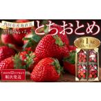 ふるさと納税 いちご 宮城県 角田市  先行予約 いちご とちおとめ 1kg ( 250g × 4パック ) 2025年12月下旬より順次発送 苺 イチゴ 果物 くだもの フルーツ 先…