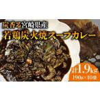 炭香る 産若鶏炭火焼スープカレー 計1.9kg_M210-009