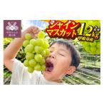 ふるさと納税 ぶどう マスカット 山梨県 甲府市 〈2025年度配送分〉山梨県甲府市産シャインマスカット 2房(約1.2kg) シャインマスカット 先行予約 2025年 山…