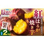 加工品等 まるやま農園 冷凍焼き芋 2kg