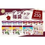 ふるさと納税 菓子 アイス 北海道 浜中町  数量限定 ハーゲンダッツ 大人の贅沢アイスクリーム福袋(アソート ボックス＆ミニカップ)アイスクリーム アイス ス…