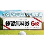 ふるさと納税 茨城県 牛久市 牛久 ジャンボゴルフ 練習場 練習 無料券 6枚 ゴルフ ゴルフ場 練習券 利用券 プレー プレー券 チケット ゴルフチケット 打ち放題…