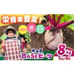 人参 大根 他根菜 横須賀BASEビーツ 8kg