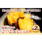 野菜類 サツマイモ さつまいも 厳選 混合サイズ 2kg