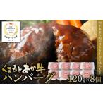 ふるさと納税 牛肉 ハンバーグ 熊本県 八代市 あか牛ハンバーグ 120g×8個入り