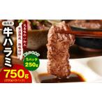 牛肉 焼肉 バーベキュー スピード発送 ハラミ 750g