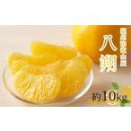 ふるさと納税 みかん・柑橘類 和歌山県 那智勝浦町 八朔（はっさく）約10kg　紀州和歌山 かつらぎ産［2027年2月上旬頃から2027年2月下旬頃に順次発送］［UT19…