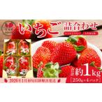 ふるさと納税 いちご 宮城県 角田市  JAみやぎ仙南 宮城県角田市産いちご　にこにこベリー・とちおとめ詰合せ　合計約1kg（250g×4パック）