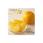 絶品 濃厚田村みかん 秀品 約10kg