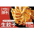 ふるさと納税 餃子 鹿児島県 大崎町 スズエの餃子 手作り生餃子(冷凍)