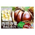 fu.... налог фрукты вид каштан Akita префектура . север город запад Akira храм каштан ...... крупный комплект (L размер и больше )200g×2 итого 400g