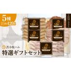 肉 ハム 苫小牧ハム 特選 セット 5種34 THM-331