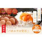 卵 鶏 烏骨鶏等 テトラエッグ特選卵 バボルナの宝石 30個