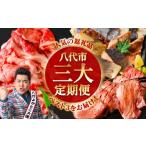 牛肉 タン 令和8年熊本地震復興支援 3回定期便