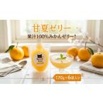 みかん 柑橘類 果汁100% 甘夏ゼリー 170g×6個