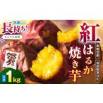 野菜類 サツマイモ まるやま農園 冷凍焼き芋 1kg