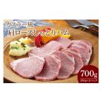 ハム ソーセージ ハンバーグ CL05-1