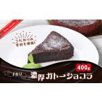 ケーキ カステラ ガトーショコラ テリーヌのような濃い食感…