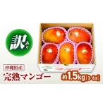 ショッピングふるさと納税 マンゴー ふるさと納税 マンゴー 沖縄県 沖縄市 マンゴー 2026 沖縄 先行予約 2026年発送 訳ありマンゴー 約1.5kg 完熟マンゴー 訳あり 約1.5キロ 訳アリ 家庭用 国産 …
