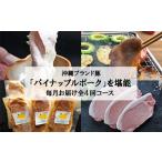 豚肉 ステーキ 毎月定期便 4ヵ月定期便 パイナップル