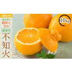 ふるさと納税 みかん・柑橘類 デコポン 愛媛県 八幡浜市 八幡浜産・不知火10kg 訳あり E56-40 _ 訳アリ わけあり ワケアリミカン みかん しらぬい シラヌイ 10…