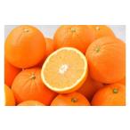 ふるさと納税 みかん・柑橘類 愛媛県 八幡浜市 八幡浜産・ネーブル10kg 訳あり D56-44 _ 訳あり わけあり 訳アリ オレンジ ネーブル 柑橘 フルーツ くだもの …