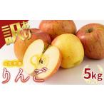 ふるさと納税 りんご 山形県 西川町 FYN9-913 農業者支援 加工用 山形県産 品種おまかせ りんご 約5kg くだもの フルーツ 林檎 リンゴ アップル 秋果実 生産者…