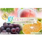 もも 定期便 夏のフルーツ定期便 桃 ピオーネ