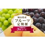 ぶどう 巨峰 梨 定期便 2027年 フルーツ王国