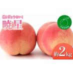 ふるさと納税 もも 福�