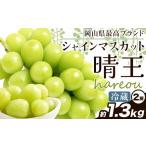ぶどう マスカット 2026年発送 シャインマスカット